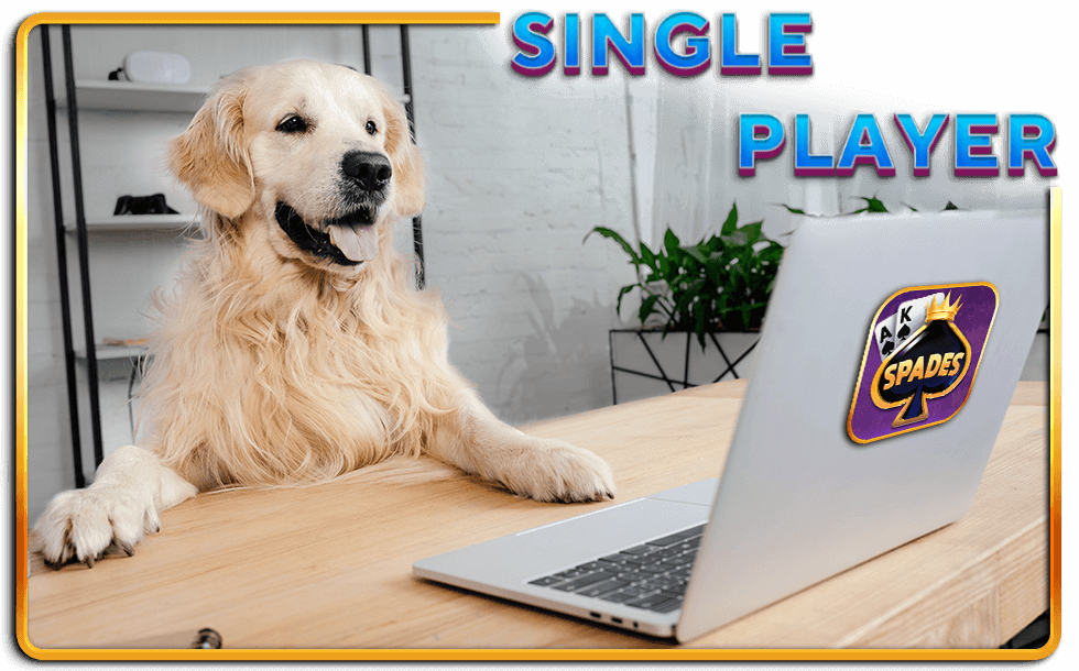 10 advantages of playing Solitaire online